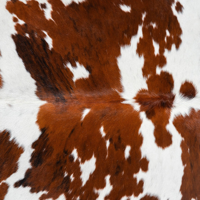 Tricolor Cowhide Rug Size 6'8" L x 6'0" W 1710