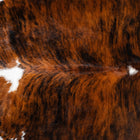 files/1715_a_8739006b-977d-41d1-93a5-700eea8742b3.jpg