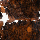 files/1722_a_23fc8b65-a4be-4388-95d3-c321e05ef4b5.jpg