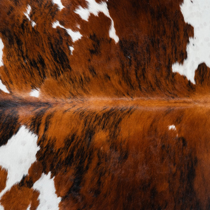 Tricolor Cowhide Rug Size 7'6" L x 6'6" W 1727