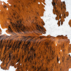 files/1728_a_43610830-823f-4f76-858b-bce03aaaea69.jpg