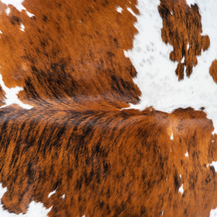 Tricolor Cowhide Rug Size 7'0" L x 6'1" W 1728