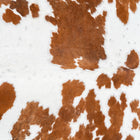 files/1754_a_6ae0fdf2-74c2-454a-ac7c-7020059e82a9.jpg