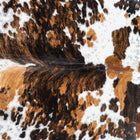 files/1761_a_2d927c57-c6e8-4460-92c7-3828ec948658.jpg