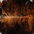 files/1784_a_a903645c-d019-4168-b2c1-c861471e7e14.jpg
