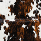 files/1795_a_ab602549-0f43-4d7b-b43e-965c3682c404.jpg