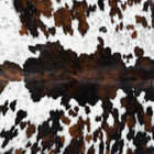 files/1798_a_a1b8d586-89b6-4400-a59d-215ad45b327d.jpg
