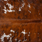 files/1813_a_476e04e5-7bb0-42d1-b08c-3678d96ddce4.jpg