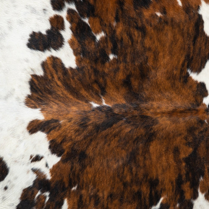 Tricolor Cowhide Rug Size 8'2" L x 7'6" W 1824