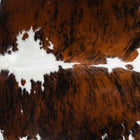 files/1828_a_5125c89d-7be9-4e96-9fbc-991f68925d00.jpg