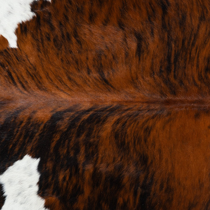 Tricolor Cowhide Rug Size 7'7" L x 6'8" W 1836