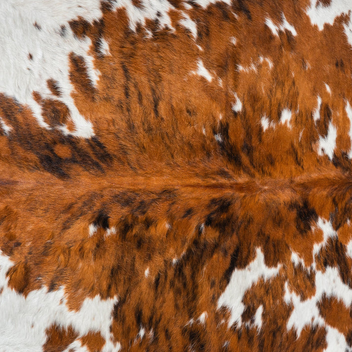 Tricolor Cowhide Rug Size 6'7" L x 6'1" W 1846