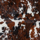 files/1850_a_fd1c7dba-d082-4d5b-8819-ae9c2933c06c.jpg