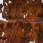 files/1855_a_f8f0612f-e37a-48a8-8495-587f1a985de2.jpg
