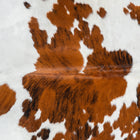 files/1861_a_6b583c4a-997b-4ff6-a1b2-ab3ccf83fb42.jpg