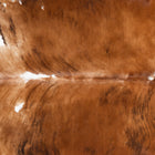 files/1867_a_9d8583ac-6f2a-4914-97bf-e44adb17c6f2.jpg