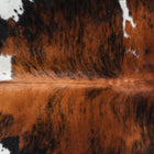 files/1869_a_17033ac8-f4b0-4db2-aec4-2b3798208744.jpg