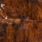 files/1870_a_72099dc0-a29f-4276-a7f9-f9addc6651c7.jpg