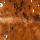 files/1873_a_4e142a75-ef58-4e5d-95ba-908fd72a8ee7.jpg