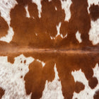 files/1902_a_a6c9b7d4-2472-4b3b-8ab9-73f46c7fdd20.jpg