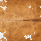 files/1904_a_e061ba38-8b1b-4123-aee0-2e40f408fb28.jpg