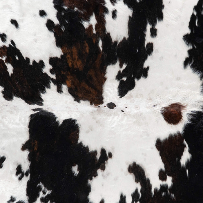Dark Tricolor Cowhide Rug Size 7'10" L x 7'1" W 1922