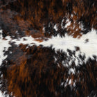 files/1933_a_2a48a15c-fc5c-40f6-ab0e-03e579e0b58e.jpg