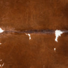 files/1938_a_e4638537-37c4-4c75-b6b2-3e1c1979f532.jpg