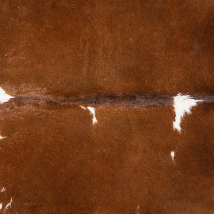 Brown and White Cowhide Rug Size 7'2" L x 6'9" W 1938