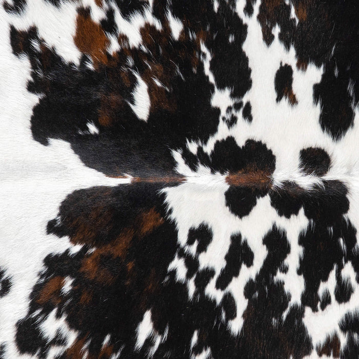 Dark Tricolor Cowhide Rug Size 6'1" L x 5'0" W 1943