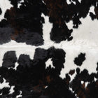 files/1946_a_1a733925-37b4-4e24-b5cf-b3557132bf16.jpg