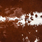 files/1956_a_192e6731-6b99-4afe-9467-701377061ab6.jpg