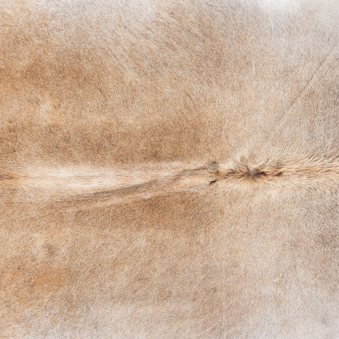 Brazilian Grey Palomino Cowhide Rug Size 7'7" L x 7'5" W 6120