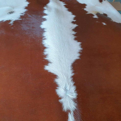 Hereford Brazilian Cowhide Rug, Natural Suede Leather | eCowhides