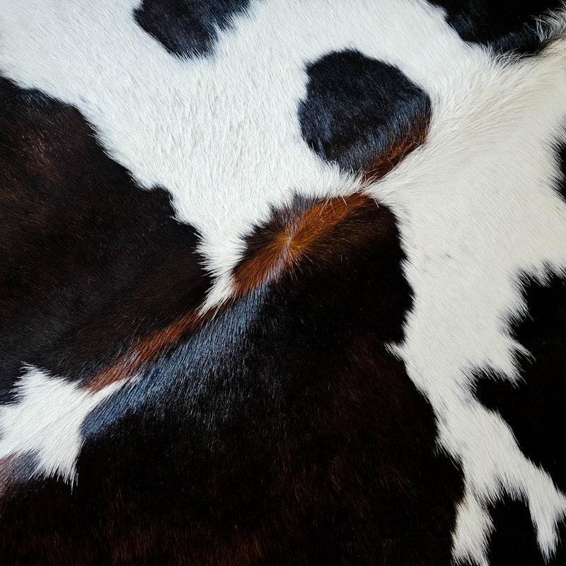 Natural Brazilian Chocolate and White Cowhide Rug Size X Large 1693