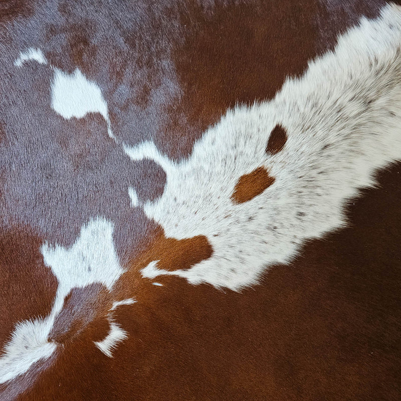 Brazilian Brown and White Cowhide Rug Size XL 1712