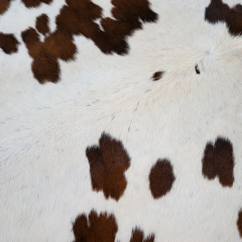 Natural Chocolate And White Cowhide Rug Size X Large 2436 , Stain Resistant Fur | eCowhides