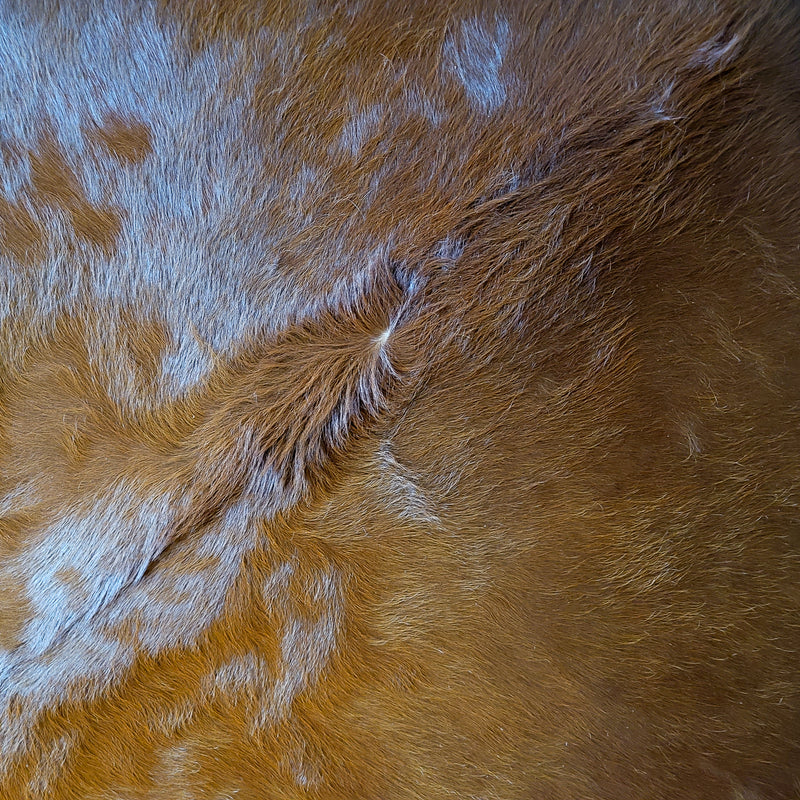 Natural Brazilian Brown Cowhide Rug Size Xx Large 2550 , Stain Resistant Fur | eCowhides