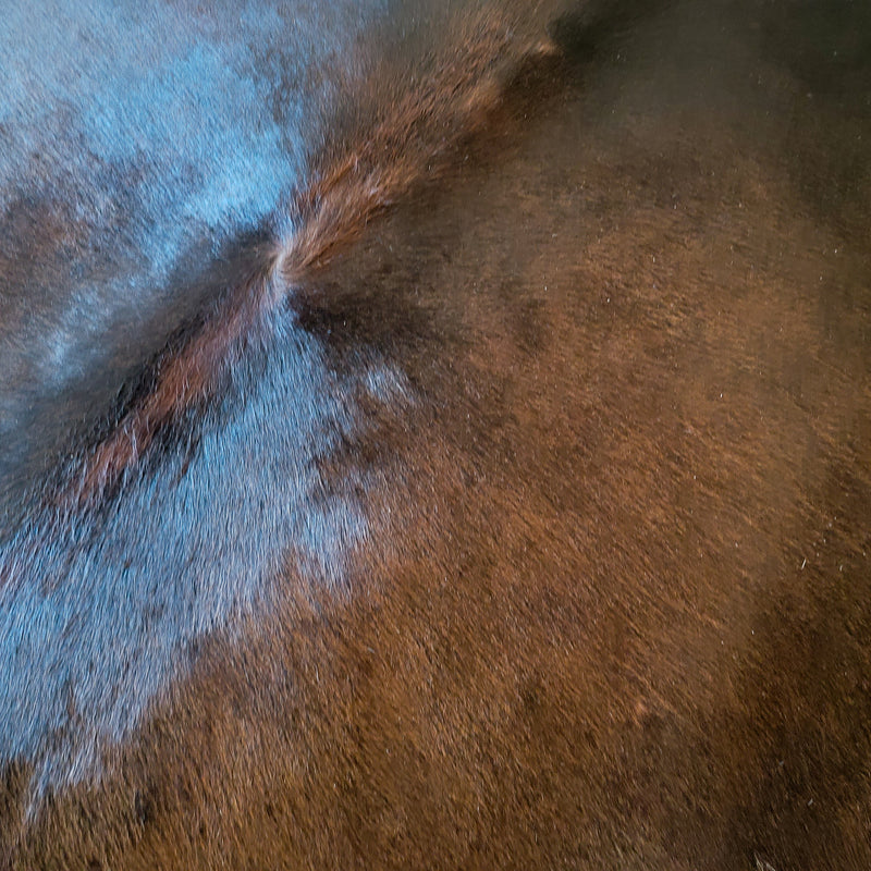 Natural Brazilian Chocolate Cowhide Rug Size X Large 2763 , Stain Resistant Fur | eCowhides