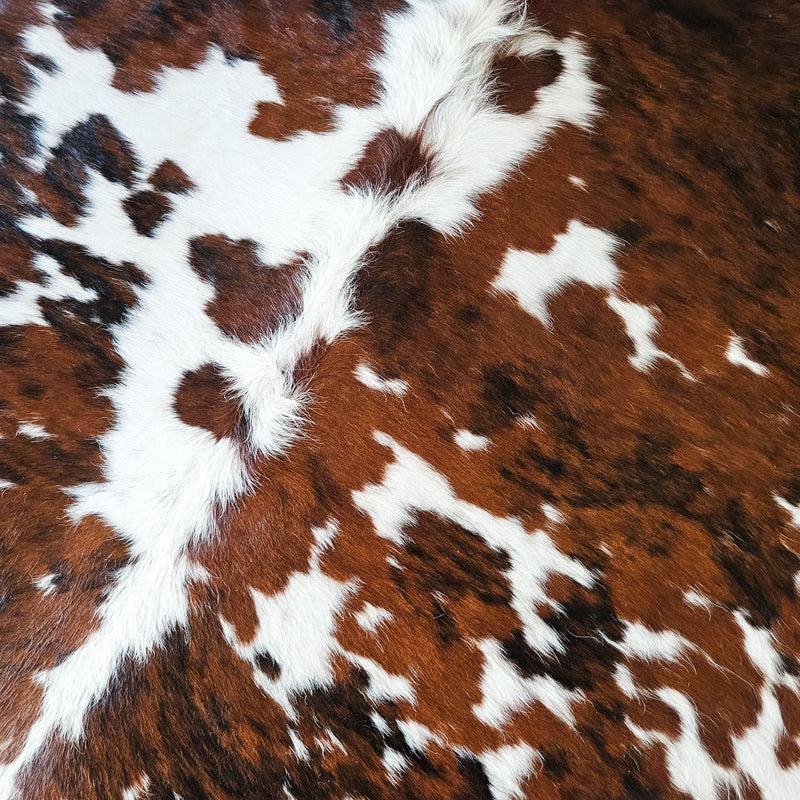 Tricolor Cowhide Rug Size X Large 3732
