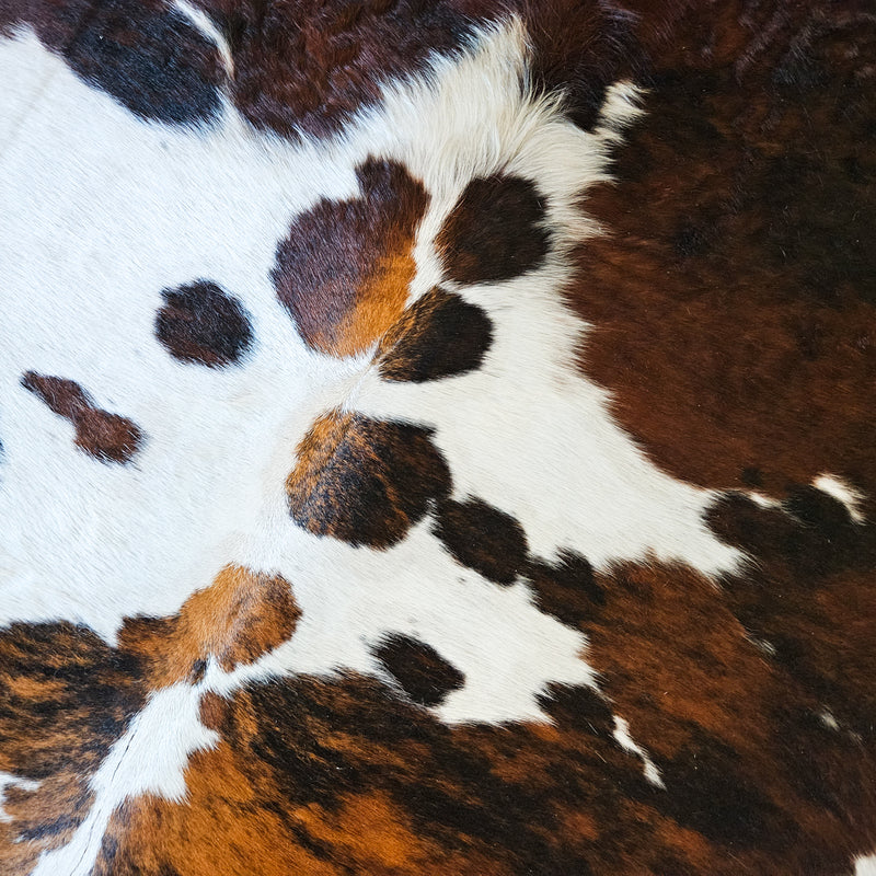 Tricolor Cowhide Rug Size X Large 3758