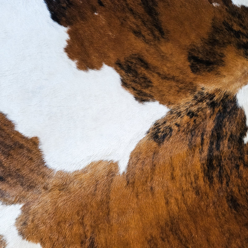 Tricolor Cowhide Rug Size X Large 3760