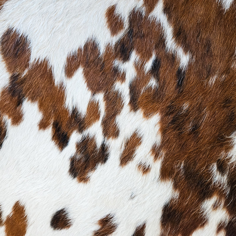 Tricolor Cowhide Rug Size X Large 3779