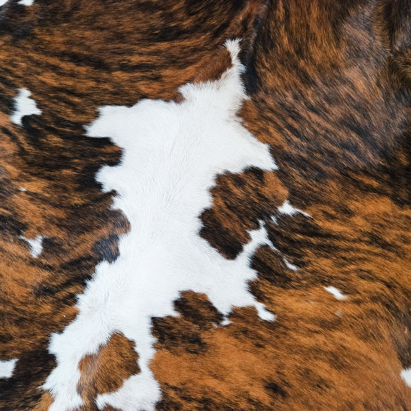 Tricolor Cowhide Rug Size X Large 4023