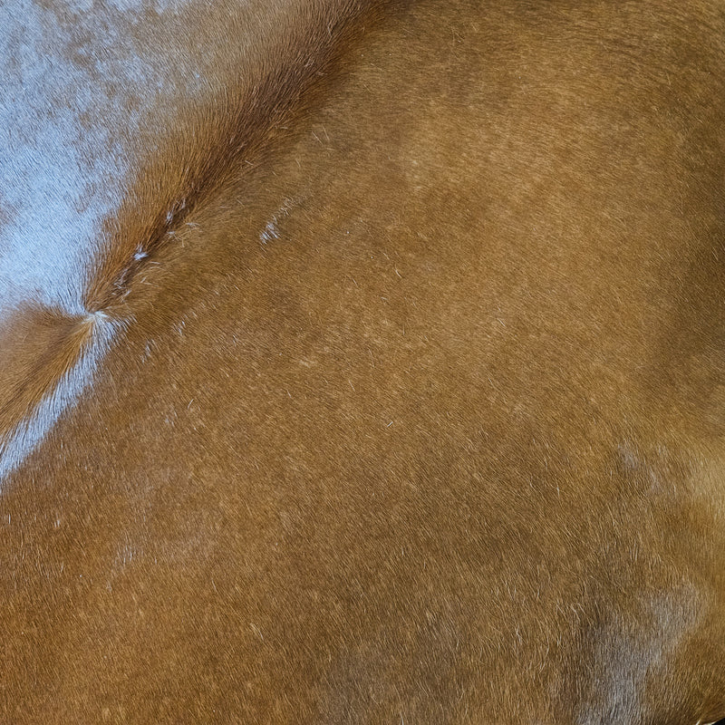 Brazilian Brown and White Cowhide Rug Size XX Large 4139