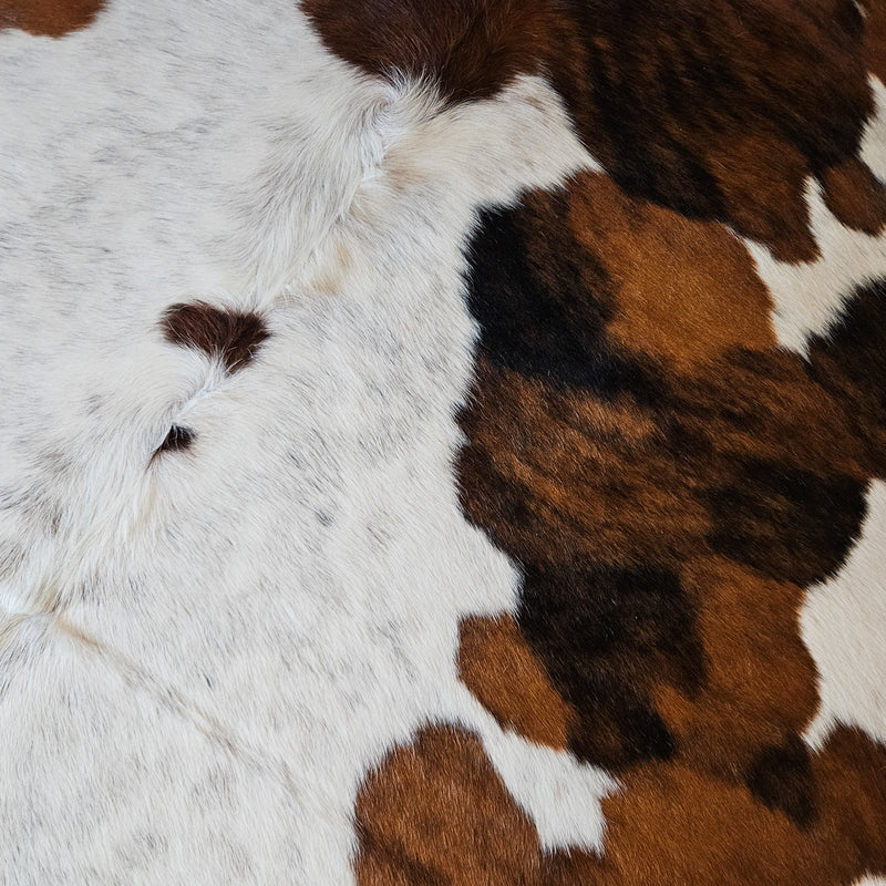 Tricolor Cowhide Rug Size X Large 4264