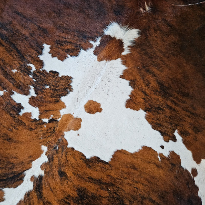 Tricolor Cowhide Rug Size Large 4286