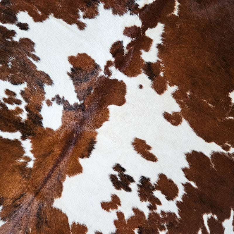 Tricolor Cowhide Rug Size Large 4296