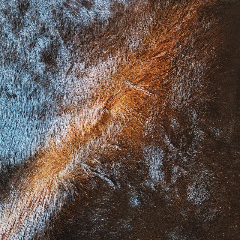 Natural Brazilian Dark Chocolate Cowhide Rug Size X Large 3037 , Stain Resistant Fur | eCowhides