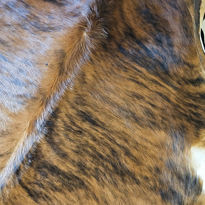 Brazilian Brindle Cowhide Rug Size Large 4371 , Stain Resistant Fur | eCowhides